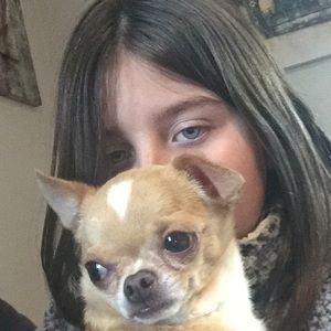 Meet your Posher, Ireland